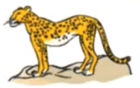 Detailed Summary: No Room for Leopard | English Reader New Gems Class 6