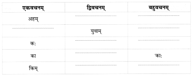 Worksheet: अहं च त्वं च | Sanskrit for class 6