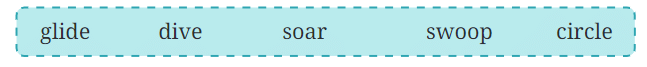 The Kites NCERT Solutions | English Class 6 (Honeysuckle)