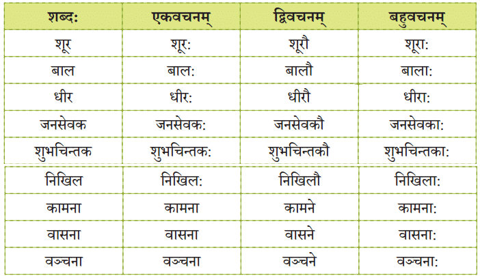 NCERT Solutions: शूरा: वयं धीरा: वयम्