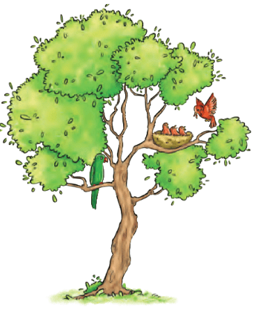 Detailed Summary: What a Bird Thought | English Class 6 (Honeysuckle)