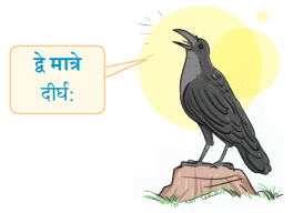 वयम् अभ्यासं कुर्मः