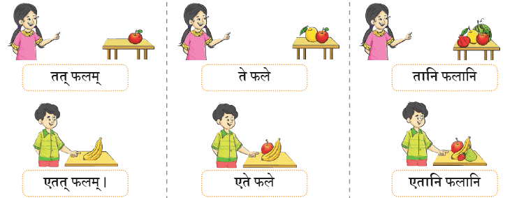 एषः कः ? एषा का ? एतत् किम् ? Chapter Notes | Sanskrit for class 6