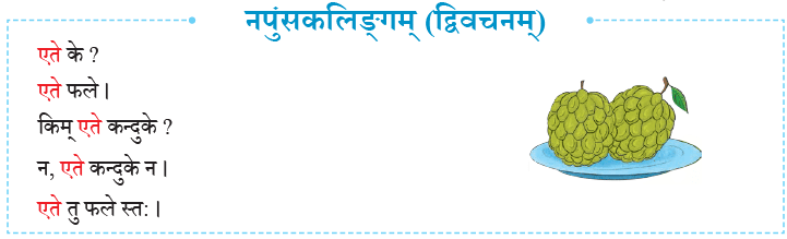 एषः कः ? एषा का ? एतत् किम् ? Chapter Notes | Sanskrit for class 6