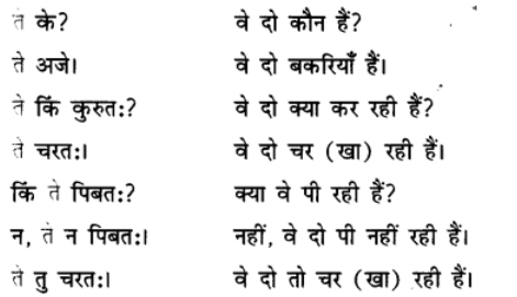 एषः कः ? एषा का ? एतत् किम् ? Chapter Notes | Sanskrit for class 6