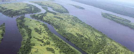 The Land of Dense Forests: Congo - 1 Class 5 Worksheet SST