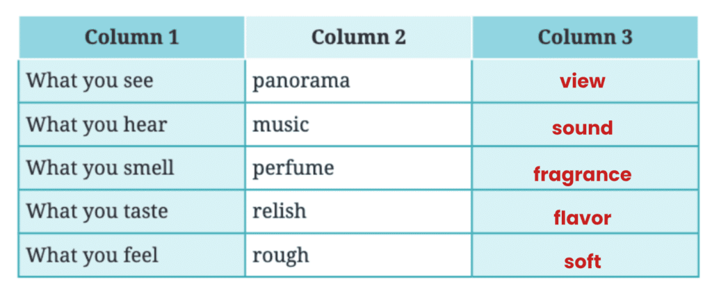 NCERT Solutions for Class 7 English Unit 1 Three Days to See