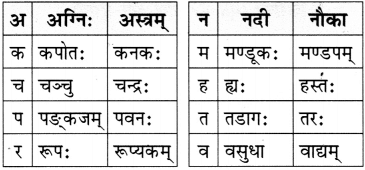 वयम् अभ्यासं कुर्मः