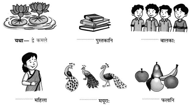 Worksheet: सङ्ख्यागणना ननु सरला | Sanskrit for class 6