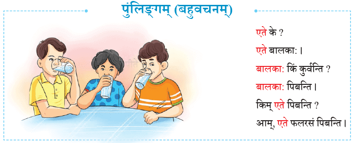 एषः कः ? एषा का ? एतत् किम् ? Chapter Notes | Sanskrit for class 6
