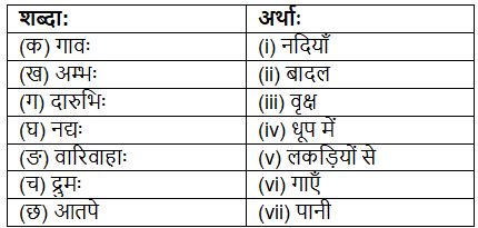 Worksheet: वृक्षाः सत्पुरुषाः इव | Sanskrit for class 6