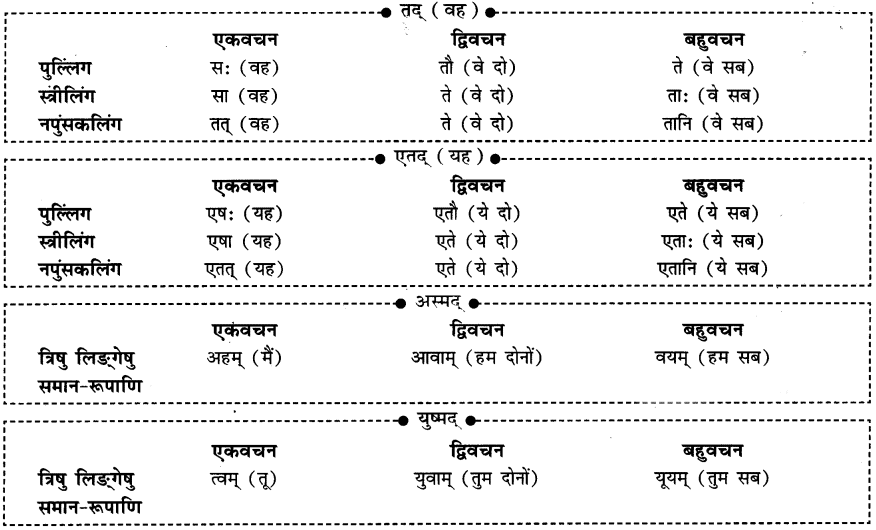 शूरा: वयं धीरा: वयम् Chapter Notes | Sanskrit for class 6