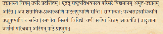 सः एव महान् चित्रकार: Chapter Notes | Sanskrit for class 6