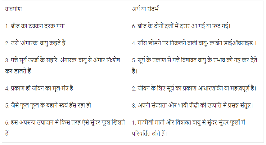 पेड़ की बात NCERT Solutions | Hindi for Class 6