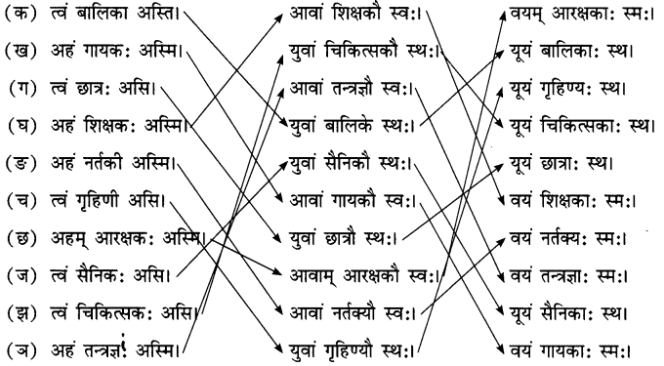 अहं च त्वं च NCERT Solutions | Sanskrit for class 6