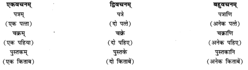 एषः कः ? एषा का ? एतत् किम् ? Chapter Notes | Sanskrit for class 6
