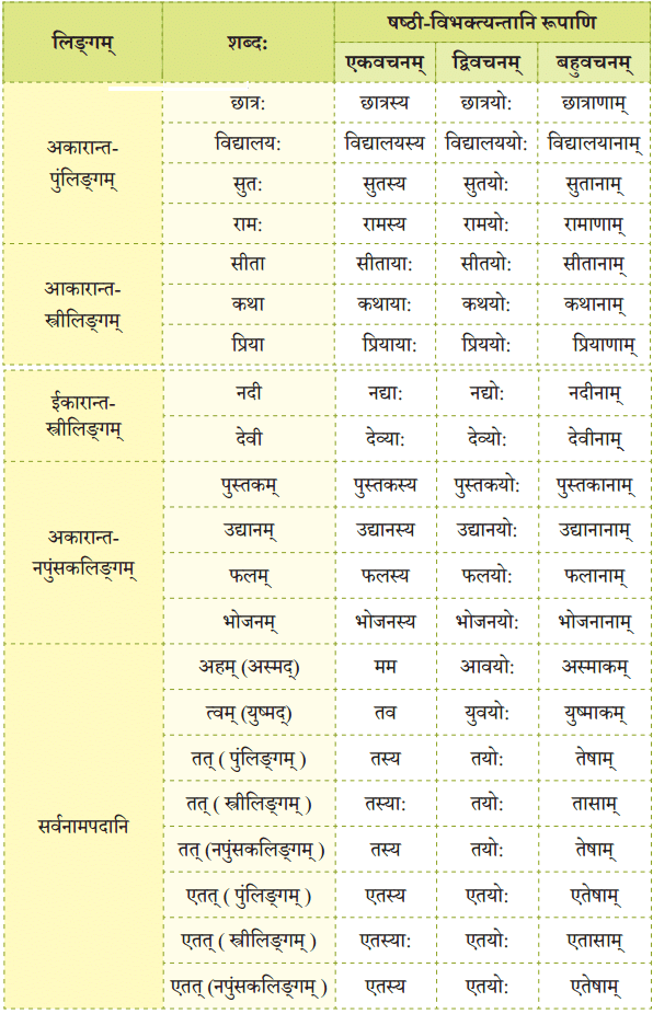 यो जानाति सः पण्डित: NCERT Solutions | Sanskrit for class 6