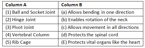 Worksheet Solutions: Our Skeletal System | Eureka Plus Class 5: Book Solutions, Notes & Worksheets