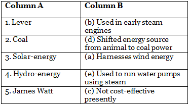 The Machine Age - 2 Class 5 Worksheet SST