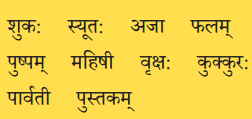 एष: क: ? एषा का ? एतत् किम् ? NCERT Solutions | Sanskrit for class 6