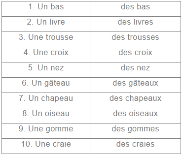 NCERT Solutions: Les Copains