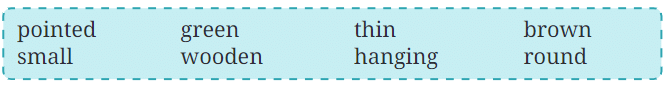 What a Bird Thought NCERT Solutions | English Class 6 (Honeysuckle)