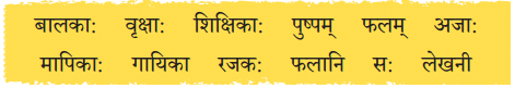एष: क: ? एषा का ? एतत् किम् ? NCERT Solutions | Sanskrit for class 6