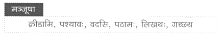 Worksheet: अहं च त्वं च | Sanskrit for class 6