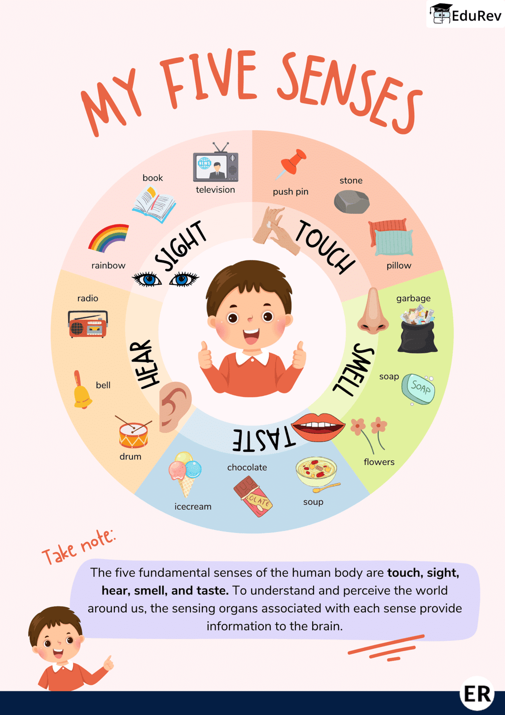 Learning Poster: Sense organs | EVS Class 5