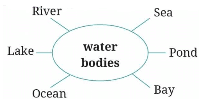 The Winner NCERT Solutions | English Class 6 (Honeysuckle)
