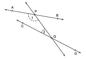 Introduction to Euclid’s Geometry Class 9 Notes Maths Chapter 5