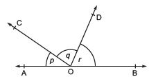 Class 9 Maths Chapter 6 HOTS Questions - Lines and Angles
