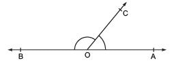 Facts that Matter: Lines & Angles | Mathematics (Maths) Class 9