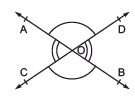 Facts that Matter: Lines & Angles | Mathematics (Maths) Class 9