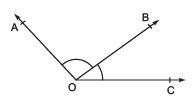 Facts that Matter: Lines & Angles | Mathematics (Maths) Class 9