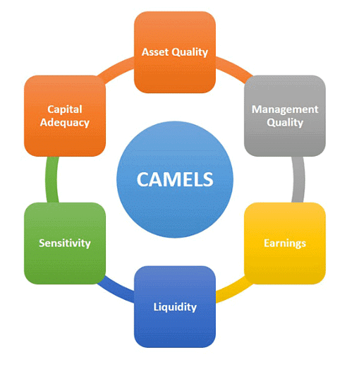 CAMELS Rating System of Banks | IBPS PO Prelims & Mains Preparation - Bank Exams