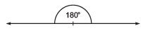 Facts that Matter: Lines & Angles | Mathematics (Maths) Class 9
