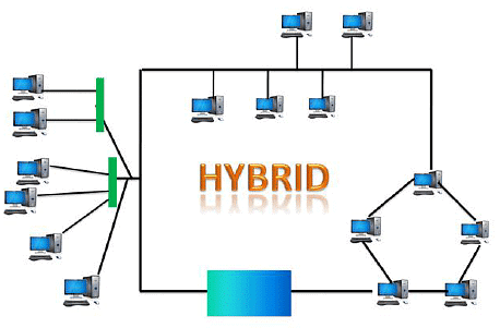 Computer Network Topology | IBPS PO Prelims & Mains Preparation - Bank Exams