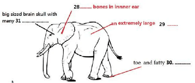 Reading for IELTS Academic Practice Test- 23 | Reading Practice Tests for IELTS Academic
