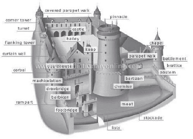 Reading for IELTS Academic Practice Test- 25 | Reading Practice Tests for IELTS Academic