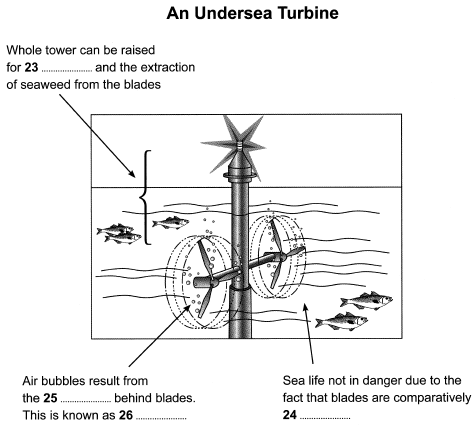 Diagram Label Completion: Practice Test - 4 | Reading for Academic IELTS