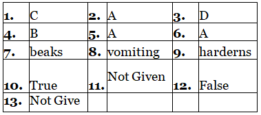 Reading for IELTS Academic Practice Test- 24 | Reading Practice Tests for IELTS Academic