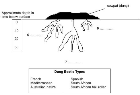 Diagram Label Completion: Practice Test - 2 | Reading for Academic IELTS