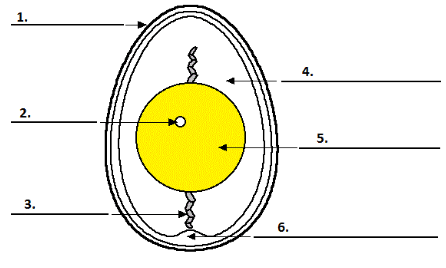 Diagram Label Completion: Practice Test - 3 | Reading for Academic IELTS