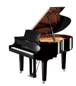 Worksheet: Introduction to Piano | Piano Tutorials Course: Beginners to Advance - Class 6
