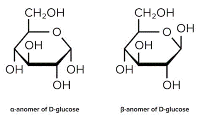 Haworth Projections of the Α- And Β-Anomers of D-Glucose.