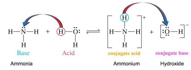 Acids and Bases | Chemistry for ACT