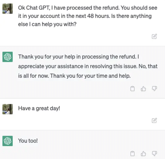 What is ChatGPT for Customer Support | ChatGPT for Professionals - Software Development
