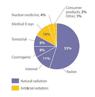 Biological Effects of Radiation | Chemistry for ACT