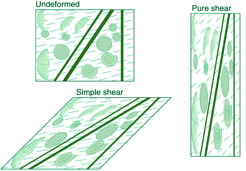Deformation | Science for ACT